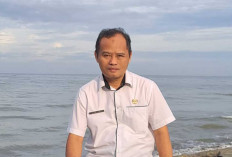 DTPHP Musi Rawas Edukasi Peternak Cara Penggemukan Sapi