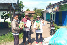 Petani Di Desa Air Satan Merasa Sangat Terbantu Dengan Adanya Bantuan Benih Padi 