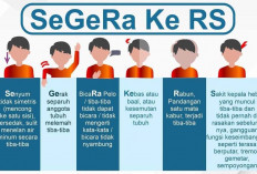 6 Cara Mudah Mencegah Stroke, Salah Satunya Rutin Medical Check Up 