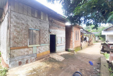 Darmi, Warga Kota Lubuk Linggau Terbaring Sakit dan Tinggal di Gubuk Bambu Harapkan Uluran Tangan Dermawan