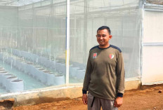 Tigor Prakoso Warga Musi Rawas Sukses Kembangkan Tanaman Melon Sistem Vegetasi Tetes