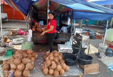 Lebaran Ketiga, Pasar Inpres Mulai Hidup: Penjual Kelapa Kembali Berjualan, Santan Jadi Andalan