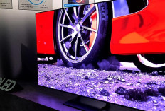 Smart TV Populer 2025 ini Rekomendasi 65 Inch 4K OLED Berikan Pengalaman dengan Brand Legendaris