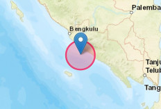 Gempa 5,6 M Enggano Bengkulu Guncang Hingga Liwa dan Kepahiang