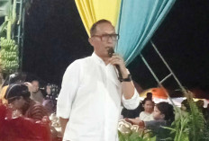 Kondisi Tanggul di Megang Sakti Musi Rawas Memprihatinkan