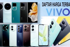 Daftar Harga HP Vivo Series Januari 2025, dari Vivo X, Vivo V, Vivo T, Vivo Y dan Vivo Z Series