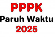 Cair Oktober! Berapa Gaji PPPK Paruh Waktu Sumsel 2025 yang Bikin Ramai di Medsos