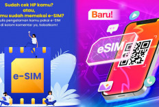 e-SIM Belum Bisa Diterapkan Disini, Ini Daftar Merek dan Model HP yang Bisa