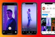 Trik Konten Favoritmu Tersimpan, Begini Download Reels Instagram  Kualitas HD via SnapTik