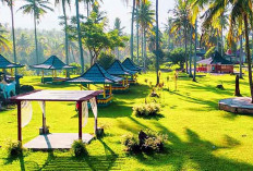 Destinasi Wisata Keluarga di Bengkulu yang Alami dengan Pilihan Visual dan Panorama yang Menyegarkan