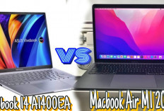 Inilah Perbandingan Spesifikasi Laptop MacBook Air M1 2020 VS  Asus VivoBook 14 A1400EA