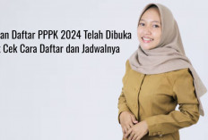 Buruan Daftar PPPK 2024 Telah Dibuka, Yuk Cek Cara Daftar dan Jadwalnya