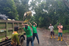 Selama Ramadan Sampah di Musi Rawas Meningkat, Didominasi Sampah Batok Kelapa Muda