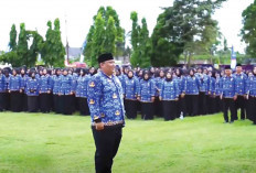 Gaji PPPK Paruh Waktu Lubuk Linggau Tembus Rp 1,4 Juta Per Orang, Juknis Masih Dievaluasi