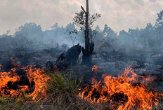 Antisipasi Karhutlah, BPBD Muratara Libatkan Perusahaan 