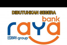 Pengangguran Merapat! Lowongan Kerja Terbaru PT Bank Raya Indonesia BUMN BRI GROUP, Buruan Cek Syaratnya!