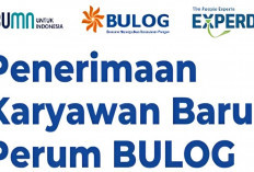 Perum BULOG Buka Peluang Karir, Cek Berikut Syarat dan Kualifikasi yang Dibutuhkan