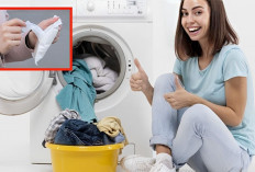 5 Trik Memasukkan Tisu Basah Ke Dalam Mesin Cuci, Bulu Hewan Auto Terangkat