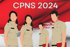 Dibuka Penerimaan CPNS 2024 Hari Ini, Buruan Cek Formasi dan Jadwal Seleksinya Pemprov Lampung 