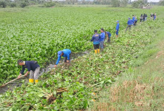 Penting, Petani Sumberejo Musi Rawas Minta Bendungan Megang Tikip Dinormalisasi 