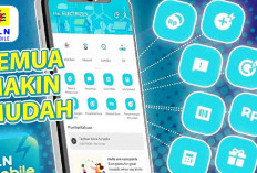 PLN Mobile Bikin Kemudahan Bayar Tagihan Listrik, Cek Tagihan dalam Genggaman Bayar Lunas