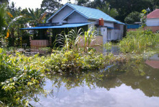 Sudah 5 Hari Banjir di Jalan Jagung Tak Kunjung Surut 