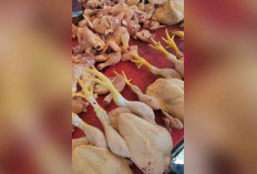Harga Ayam Potong Naik Lagi, Pedagang Sebut Sulit Prediksi Pasaran