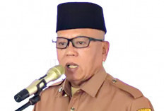 Pemkab Mura Usulkan Owner Wisata Travel Lubuk Linggau Diberhentikan Sementara dari ASN, Begini Maksudnya