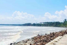 Destinasi Air Perpaduan Hutan di Pantai Duayu Sekundang Bengkulu Selatan