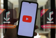 SnapTik Versi Web, Download YouTube Tanpa Tanda Air, Gampang dan Gratis