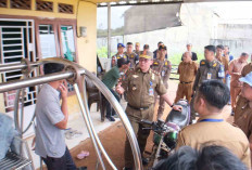  Cek Fisik Aset Tanah Milik Pemkab Muba, Ada Indikasi Penguasaan Tanah oleh Pihak Swasta