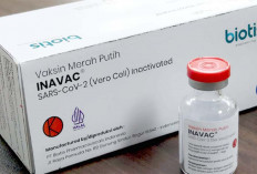 Dinkes Minta 4000 Dosis Vaksin Inavac