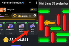 Kunci Mini Game Hamster Kombat Hari Ini Jumat 20 September 2024, Ini Polanya