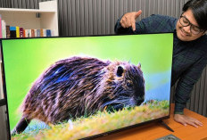 Smart TV Infinix Tawarkan Fitur Canggih Harga Murah Rasa Sultan