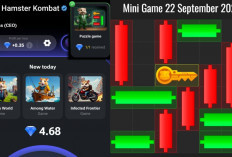 Kunci Mini Game Hamster Kombat Hari Ini Minggu 22 September 2024, Ini Polanya