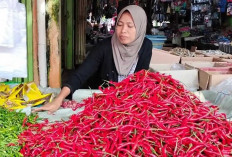 Dalam Tiga Hari, Harga Cabai Merah Keriting di Musi Rawas Melonjak Tinggi, Ini Penyebabnya 