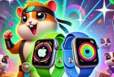 Update Harga Tukar 4.800 Koin Hamster Kombat Per 26 September 2024, Setara Apple Watch Series 10?