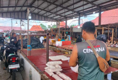 Tempe Bahan Pangan Pavorit Terjual 120 Batang Perhari 