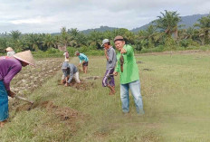Sebelum Masuk Musim Tanam Padi, POPT Ajak Petani Lakukan Gropyokan Tikus