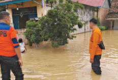 Luapan Sungai Rendam Puluhan Rumah di BTS Ulu Cecar Musi Rawas, BPBD Lakukan Kaji Cepat