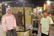 Liburan Seru di Pocket Zoo Lippo Plaza, Melihat dan Berinteraksi Langsung Dengan Satwa Eksotis