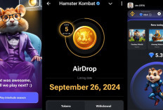 5 Hari Lagi, Hamster Kombat Akan Listing 26 September 2024, Cek Snapshot Kamu! 