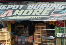 Depot Burung Andre Di Lubuk Linggau Tawarkan Beragam Pakan Hewan Dengan Produk Unggulan