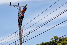 Kolaborasi Apik PLN Bengkulu Perkuat Keandalan Listrik Jelang Bulan Suci Ramadan 1446 H