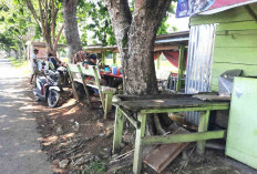 Nikmati Sensasi Menyantap Hidangan Lezat di Tengah Hamparan Sawah Purwodadi Musi Rawas
