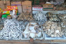 Ikan Asin Bulu Ayam Paling Laris Walaupun Harganya Naik  