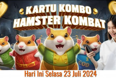 Baru Combo Harian Hamster Kombat Hari Ini 23 Juli 2024, Garap Hingga 5 Juta Koin Gratis