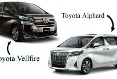  5 Perbedaan Mobil MVP Premium Toyota Alphard dan Vellfire, Mulai dari Harga Hingga Desain Exterior