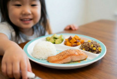 BB Anak Sulit Naik, Catat ini 10 Rekomendasi Makanan Tinggi Kalori