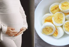5 Manfaat Telur Rebus Bagi Ibu Hamil, Salah Satunya Bantu Perkembangan Otak Pada Janin